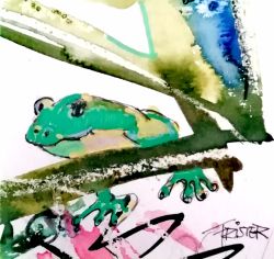 Andreafrister Aquarelle 2014